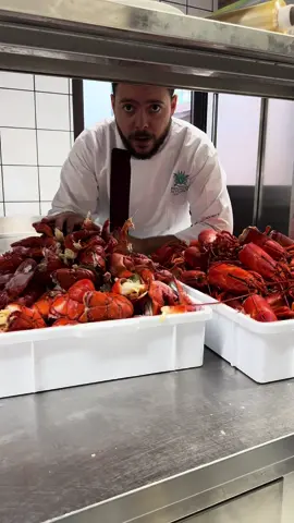 Preparazione sughi con Astice ✌🏻🦞🫙