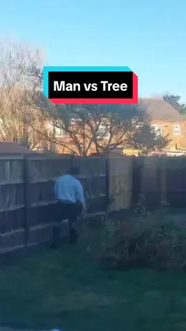 man v tree 🌳  he's buzzing 😂 #tree #funnymoments #couplestiktok #couplecomedy #viral #tredingvideo #teamworkmakesthedreamwork 