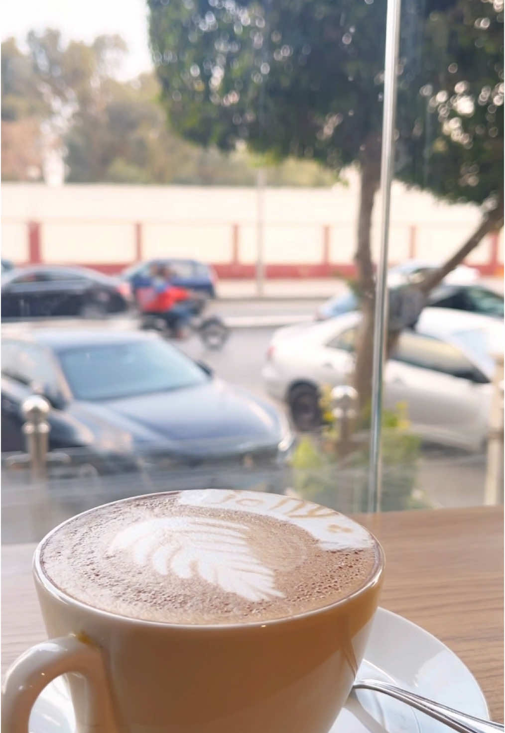 قعدة رايقة في #Jolly_cafe 🥰 #مصر_الجديدة #cairo #fyp #foryoupage #cafe #restaurant #foryou #hiddengem #viral #egypt 