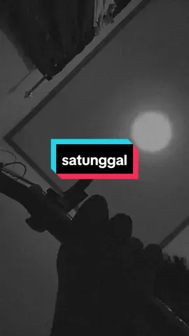 satunggal ....#satunggal #lagujawa #foryoupage #foryou #fyp 