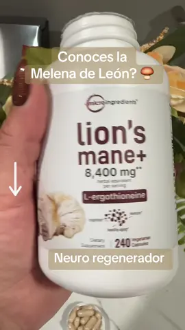 Conoces la melena de leon? Es un hongo que te ayuda a regenerar tus neuronas#lionsmane#melenadeleon#microingredients#neuroregenerador#falldealsforyou @Micro Ingredients 