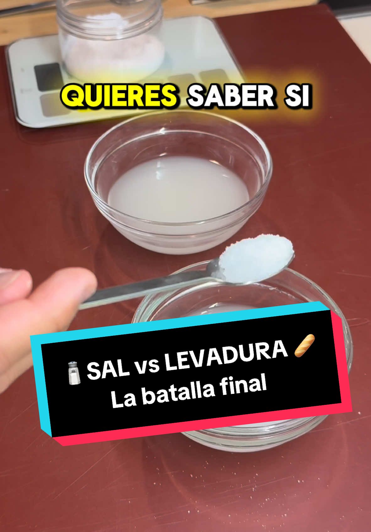 La #sal mata la #levadura ??? 👀 🤌🏻Hoy contesto a tan arriesgada pregunta, y ademas me gozo un par de #panuozzo con una receta de lo más fácil, eso si, al 80% de #hidratacion 🇮🇹🍕 #Receta #PizzaNapolitana #Ingredientes #levadura #masa #fermentado #pizza #recetapizza #pizzacasera #pizzanapolitanacontemporanea #pizzaencasa #amasado #sourdough #panaderia 
