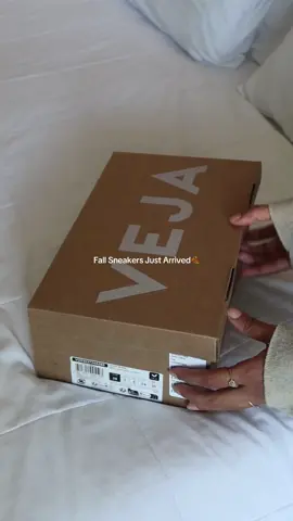 When you just got the perfect pair of sneakers for this fall @Veja #fall2024 #suedeshoes #suedesneakers #vejasuede #vejasneakers #veja #suede #minimalstyle #fall2024shoes #sneakers 