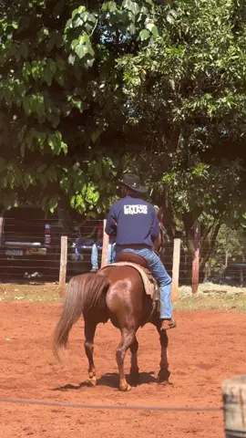 Pontencialize a performance do seu animal!  #lithoequus #teampenning #quarterhorse #quartodemilha 
