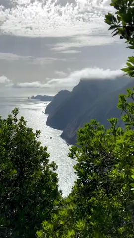 The lush green landscapes of Madeira are like stepping into a hidden paradise. Every trail, every corner reveals nature at its most vibrant and alive. From towering cliffs to misty forests, the island invites you to explore, breathe, and be captivated.  Ready to discover it? 🌿✨  Don’t forget to check out my INTERACTIVE MADEIRA MAP! 🗺️ I’ve poured all my knowledge into it after two years of continuous exploration of the island.  👉🏼 It will be your perfect companion for discovering Madeira. 🌍✨ #Madeira #VisitMadeira #HiddenParadise #GreenParadise #MadeiraIsland #DiscoverMadeira #MadeiraAdventure #ExploreWithMe #MadeiraHiking #IslandVibes #NatureEscape #OffTheBeatenPath #TravelMadeira #TravelMap