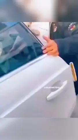 funny animals #pet #cat #dog #cute #animals #foryou #typ 