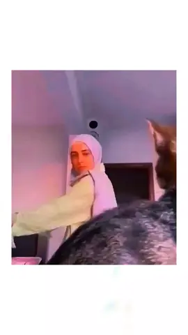 look at the end 😂😂  #pet #cat #dog #cute #animals #foryou #typ 