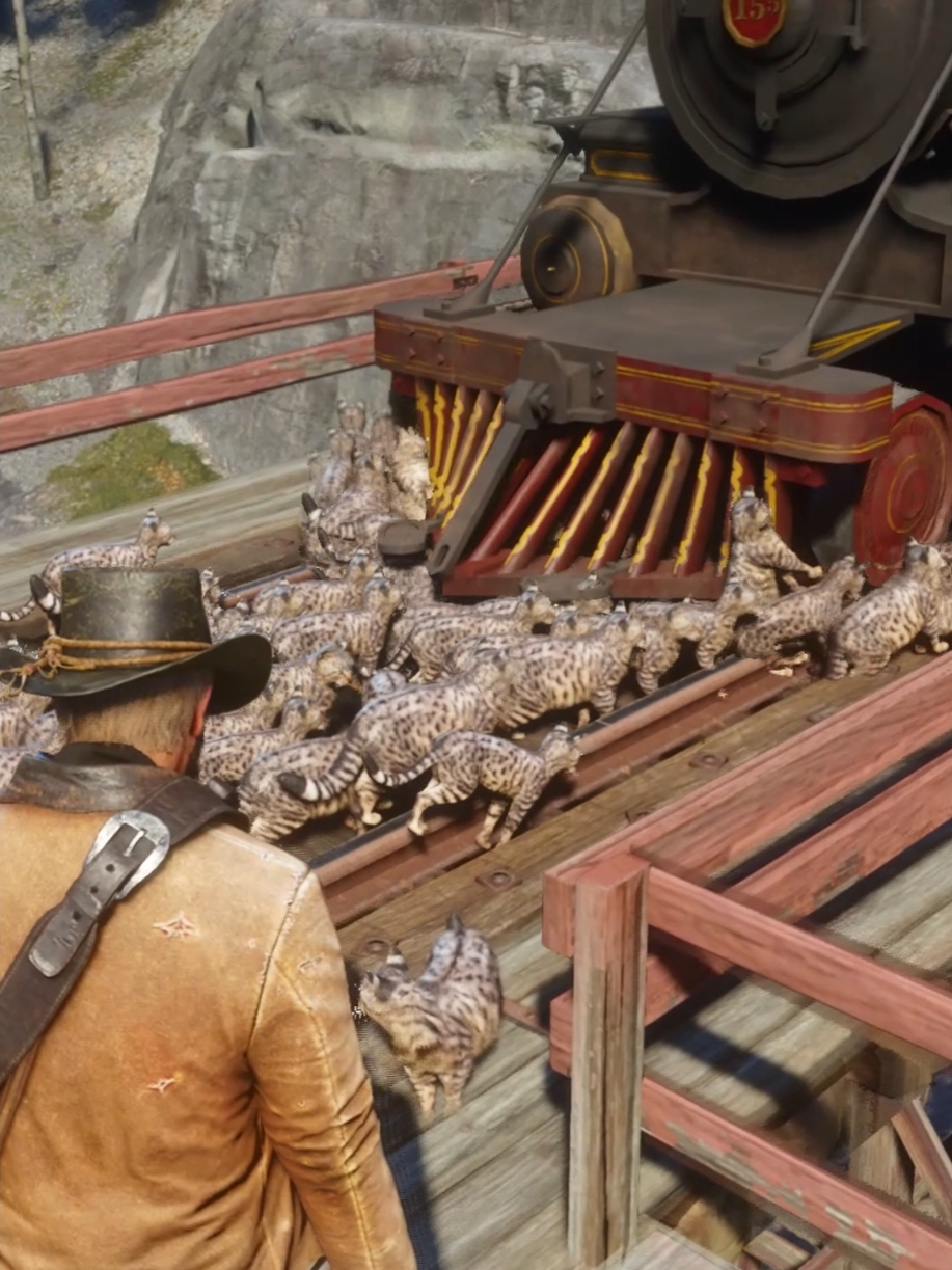 Cats getting pranked 😺 #rdr2 #reddeadredemption2 #reddeadredemption #rdr #reddead #reddeadonline #gaming #GamingOnTikTok #gametok #meow 