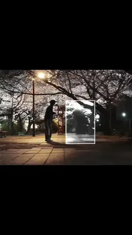 words can't describe 🕊️ _ #movie #coco #relatable 