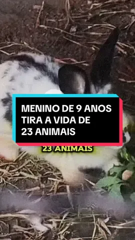MENINO DE 9 ANOS TIRA A VIDA DE 23 ANIMAIS | #casosbizarros #casoschocantes #casoscriminais #casosbrasileiros 