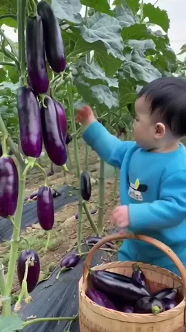 #cute #fyp #viral_tiktok #tik_tok #trending #viral_vide 