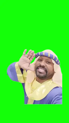 Don Pollo Salamalaykum meme green screen #meme #greenscreen #donpollo #salamaleykum 