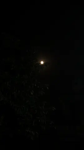 -the perfect moon 🌕 #randokclicks #moonaesthetics #aestheticvideos 