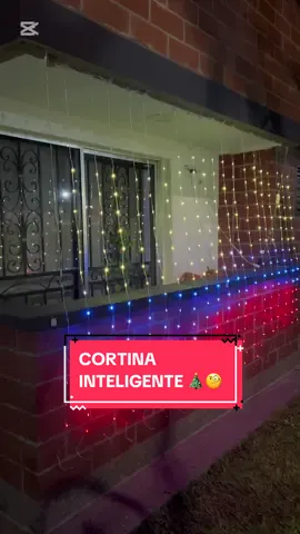 Cortina Inteligente 💡🧐 Se maneja con control y APP, diversas funciones, halloween, navidad, banderas, a tu gusto🎄 Medidas: 3*2 mts  Con esta cortina tu espacio sera el mas admirado de tu barrio 🏠 #CapCut #navidad #desdeseptiembresesientequevienediciembre #iluminacion 