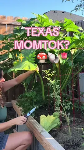 Texas moms are so much more than racist women with 20 inch hair extensions. inspired by my sis @Caitlin 🖤 #momtok #texasmomtok #texasmom 