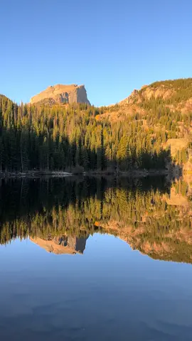 BANKAI                                                       #bleach #nature #bankai #fyp 