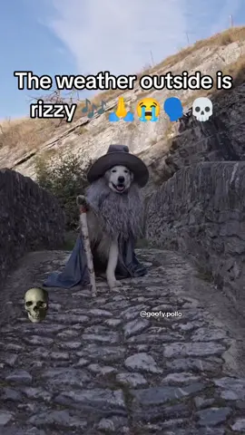 Ohio Ohio Ohio 🎶🗣️❌💀🙏 #meme #funnyvideo #fyp #algoritmotiktok #blud #foryoupage #funnyvideos #goofyahhvideo #algorithm #goofyahh #funny #animals #fy #goofy #memestiktok #goofypollo #funnytiktok  #skull #fyyyyyyyyyyyyyyyyyyy #memestiktok #funnyvideo 