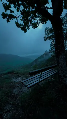 Calm Days #nature #calm #darkaesthetic #naturephotography #foryou #aesthetic #relax 