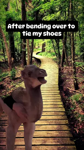 #Meme #MemeCut #CapCut #laugh #funny #foryoupageofficiall #foru #fypp #tiktok 
