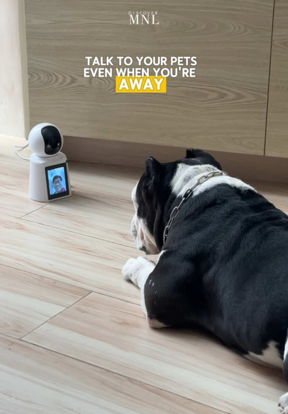 No more sepanx furbabies! #DMSocial  #DiscoverMNL