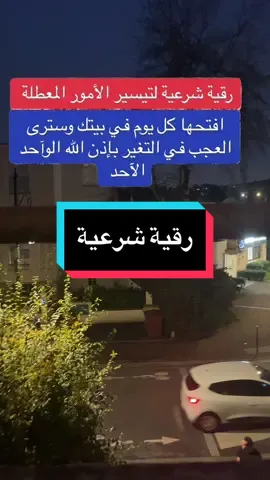 #creatorsearchinsights #رقية_شرعية #fyp #fouryou #chaoukiassadi #video 