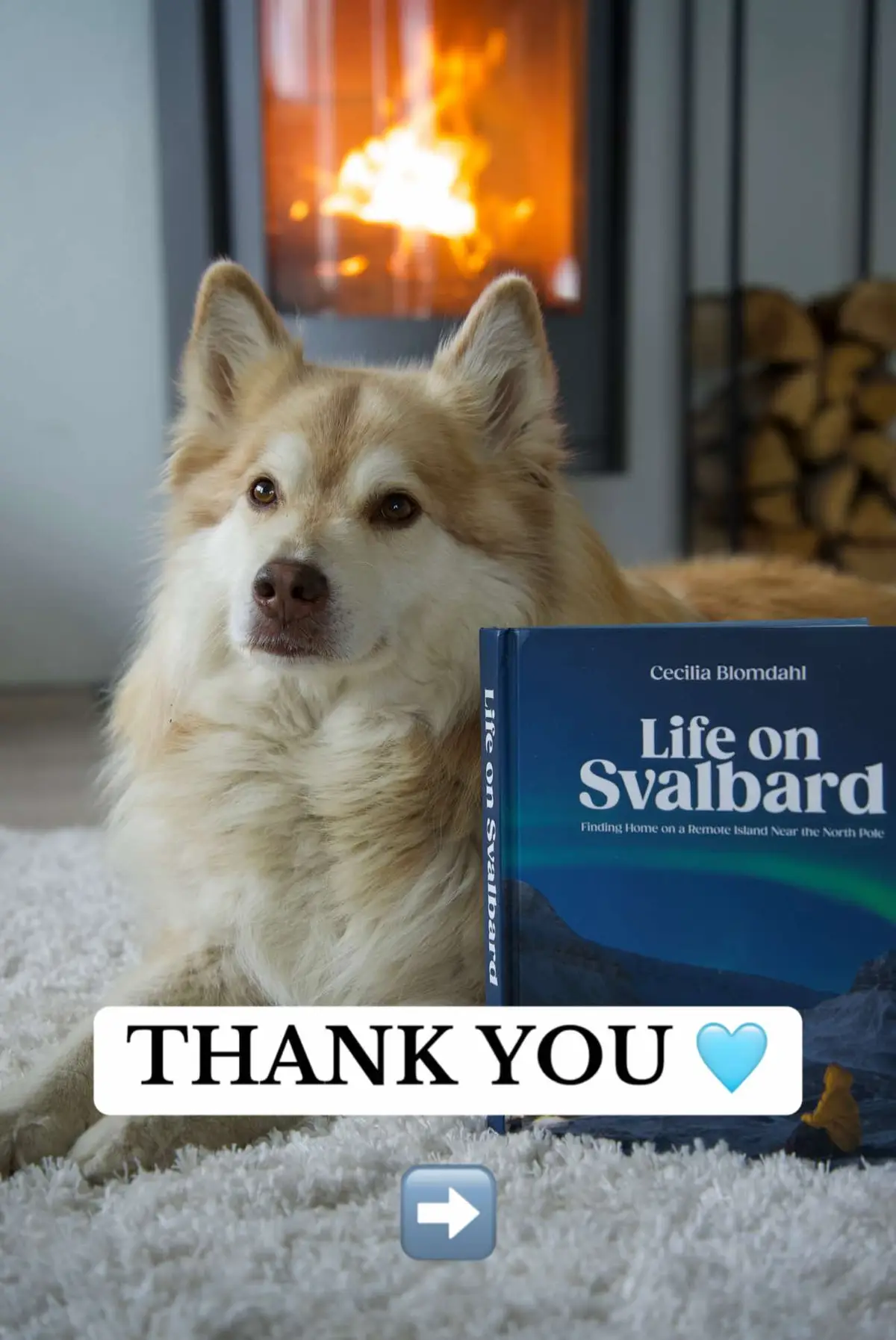 What an unforgettable week! 📚🥹. ♡ The launch of my first book has been one of the most defining moments in my journey so far ✨. I can’t thank you all enough for your incredible support—none of this would be possible without you! Seeing your reviews and hearing how much you’re loving the book fills me with so much joy and gratitude. I’m so excited to have you all on this journey with me. Thank youuuu 🩵🩵🩵 #svalbard #longyearbyen #lifeonsvalbard 