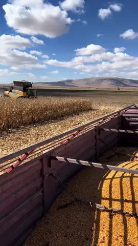 #yürüyentarim cr9080