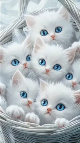 Dear TikTok Team Please Don't Under Review My Video 🙏#AiAnimals #AIPets #VirtualZoo  #AnimalLovers #SmartPets  #PetTech #AIScience #CuteAiAnimals #TechMeetsNature #TikTokForYouPage #ForYouPage #FYP #TikTokViral #ViralVideos #TrendingNow #ExplorePage #TikTokTrend #MustWatch #TikTokCommunity #ContentCreators #AiCats #CatLovers  #CuteCats #CatVideo 