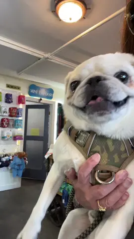 Cleanest of the clean bois 