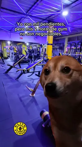 Es mi problema 😂 hay prioridades 🤷  #gimnasio #elitefitness #ejercicio #gymcomedy #Fitness #humor #memecut #gymlover #paratii 