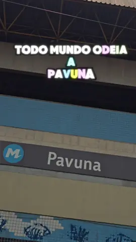 todo mundo odeia a pavuna  #pavuna #viral #fyp 