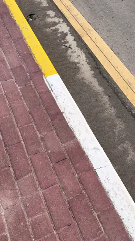 #الوحيد #ال_نطاح #لاندكروزر_2022 #لايك_متابعه_اكسبلور #مضلل #رقم_مميز #VXR 