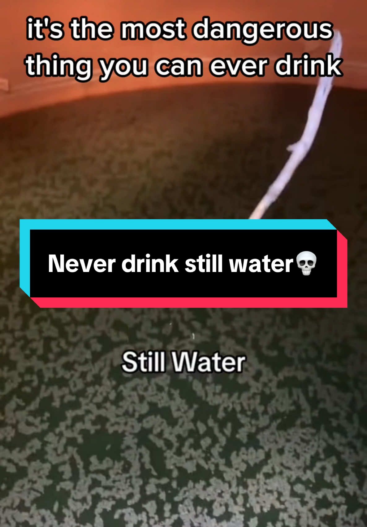 Never drink still water 💀 #stillwater  