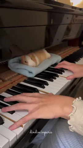 She’s completely asleep!🥱 #piano #fyp #foryou 