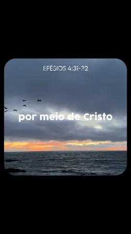 Espalhe o evangelho ✝️  #fyp #cristão #evangelho #Deus #Jesus #vaiprofy #vaiprafy 