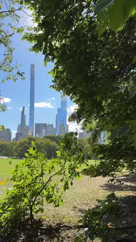 Central Park, New York City 🗽🇺🇸 #nyc #newyork #newyorkcity #nyctiktok #usa_tiktok #USA #🇺🇸 