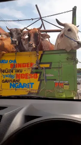 #jalan #nyupir #nyetirmobil #magelang #story 