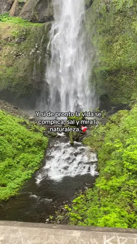 La mejor curita al corazón.❤️‍🩹🫶🏼#paratii #fypシ゚viral #oregon #foryou #enparatiiiiiiiiiiiiiiiiiiiiiiiii 