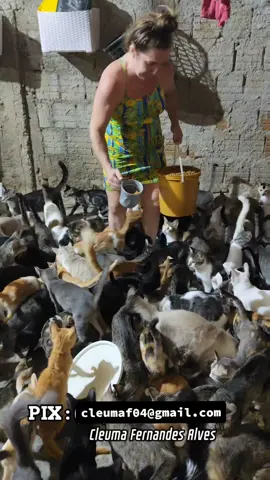 #abrigo #abrigodeanimais #gatosdotiktok #gatoscuriosos_ #130 #miauupodcast #miauw #miaumiau