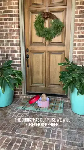 Christmas surprise ##christmas #fyp #xmas #christmasdecor #christmascountdown #christmastiktok #foryou #christmas2023 #snow #christmastree 