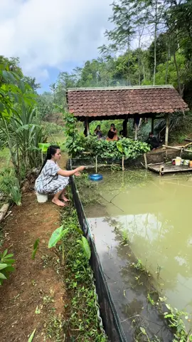 Ngusep hela 😁 #suasanapedesaan #suasanadikampung #fyp 