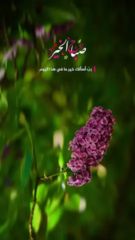 أصبحنا وأصبح الملك لله والحمد لله ربِّ أسألك خير ما في هذا اليوم وخير ما بعده وأعوذ بك من شر ما في هذا اليوم وشر ما بعده ربِّ أعوذ بك من الكسل وسوء الكبر، ربَّ أعوذ بك من عذابٍ في النار وعذاب في القبر #صباح_الخير #صباح #اذكار #دعاء 