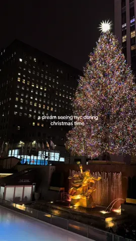 counting days✨ #nyc #christmas 