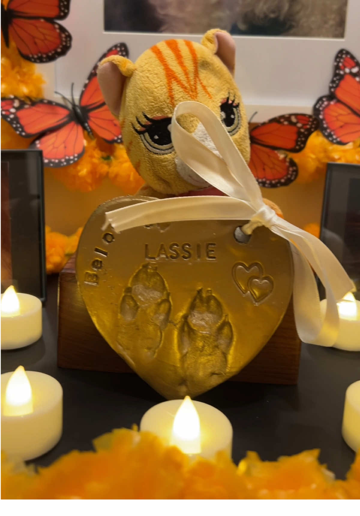 Primera ofrenda que hago para mi compañera de 15 años 🥺🖤 Hace 6 meses te perdimos pero ahora esperamos tu llegada ❤️ Mi lasie te extrañamos mucho  #perritostiktok #parati #fyp #mascotastiktok #27deoctubre #diadelosmuertos #altar #ofrendamascotas 