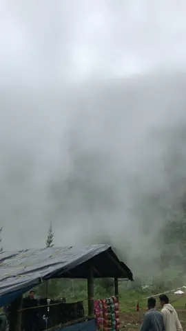 Menyaksikan langsung turunnya kabut didataran tinggi Pekalongan #petungkriyono #pekalongan #fyp #petungkrionopekalongan #telagasigebyarmangunan 