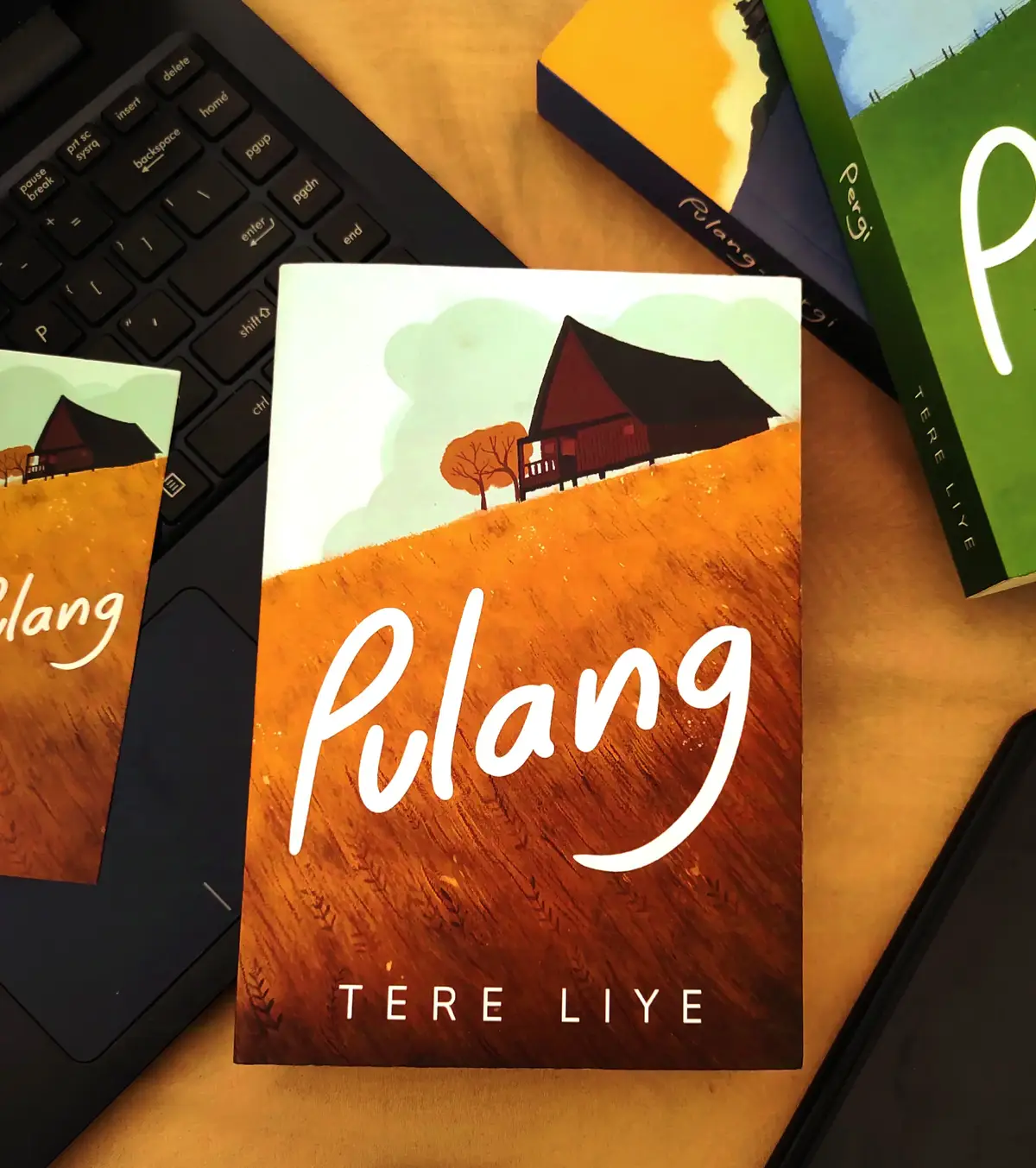 awal mula perjalanan bujang untuk pergi dan menemukan jalan hidupnya sendiri, dengan restu dari sang ibu #pulang #tereliye #novel #qoutes #dandelions #ruthb 