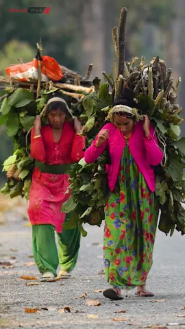 Hard Work and Happiness: Life in Rural Nepal #Nepal #Rural #Lifestyle #HardWork #Smiles #Happiness #Community #Culture #Tradition #Villages #DailyLife #Joy #Authentic #SimpleLife #Farmers #Mountains #Heritage #Contentment #Nature #Foryou #fyp #woman #women #womenempowerment 
