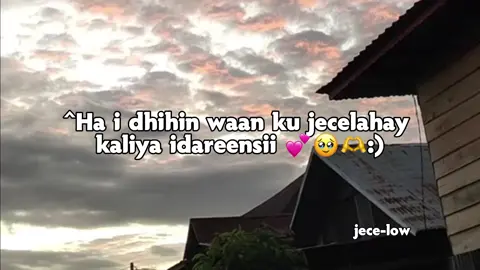 love Saar ❤️😭 #fypシ゚viral #foruyou #foryoupage #wll_haara4 #jeceelow #somalitiktok 