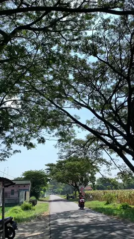 Merayakan siang ini dengan ngopi! Lokasi: Sidowarek, Plemahan Kediri. #kabarpare #warungpedesaan #kediri 