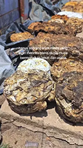 #CapCut #foryou #semangat #karet #getahkaret #petani #pengusahasukses #motivasi #sukses 